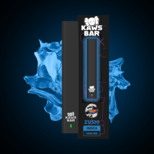 Kaws Zushi Bar