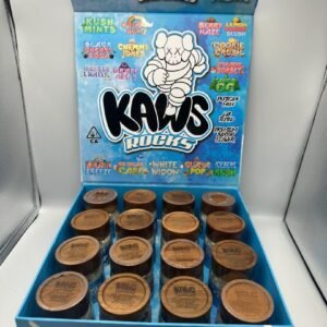 Kaws Moonrock Snowcaps Edition